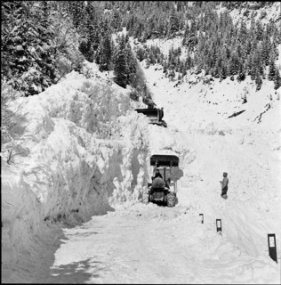 Avalanche in the Safien valley: clearance work, 1956.