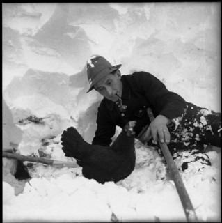 Avalanche in Spiringen, Schächen valley: man with rescued chicken; 1954.