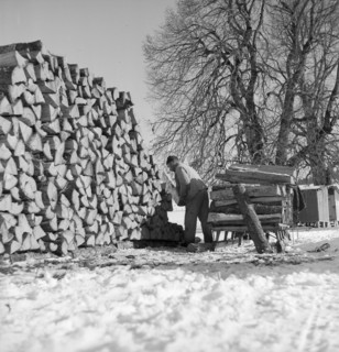 Woodcutter, pile of wood, 1943.