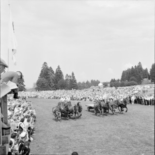55th Marché-Concours Saignelégier, chariot race, 1958.