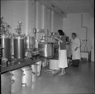 Swiss serum and vaccination Institute, laboratory 1956.