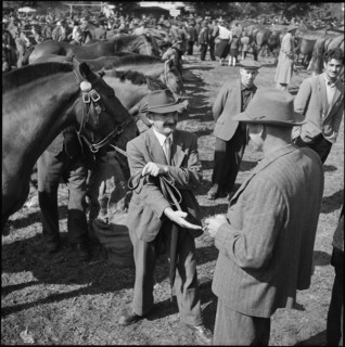 Horse market of Chaindon-Reconvilier, horse dealer, 1954.