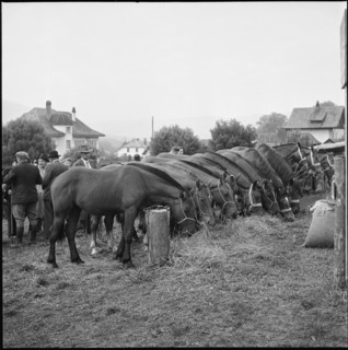 Horse market of Chaindon-Reconvilier, 1952.