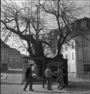 Swiss donation collecting point, 1945.