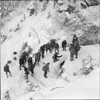 Three workers buried by avalanche near Grindelwald: men searching for the missed persons; 1956.