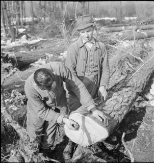 Land reclamation, extend area of cultivable land; ; clearing; 1942.