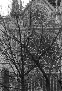 1975, Paris, Notre Dame Cathedral.