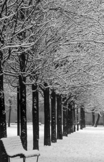 1975, Milan, park with snow.