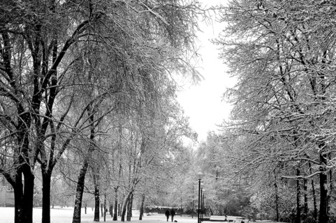 1975, Milan, park with snow.