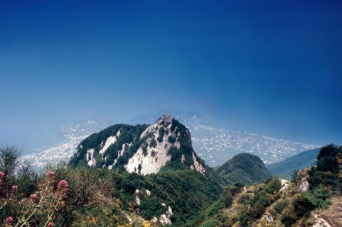 Nature, Italy, region of Campania, 1975 Ischia Monte Epomeo.