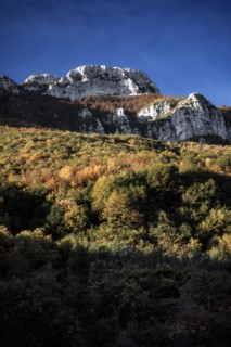 Nature, Italy, region of Basilicata, 1975  Alburni Mountains Regional Park.