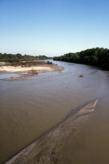 Nature, Italy, region of Basilicata-Calabria 1975 Mouth of the river Crati Regional Park.