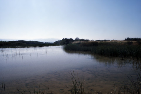 Nature, Italy, region of Basilicata-Calabria 1975 Mouth of the river Crati Regional Park.