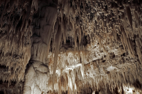 Nature, Italy, region of Puglia 1975 Grotte di Catellana (Castellana caves).