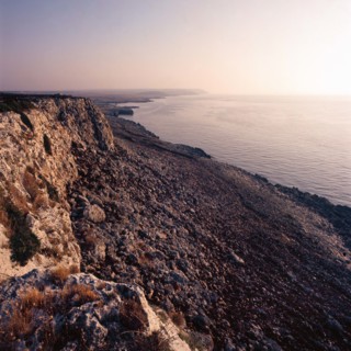 Nature, Italy, region of Puglia 1975 Costa del Salento (Salento coast).