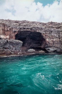 Nature, Italy, region of Puglia 1975 Costa del Salento (Salento coast).
