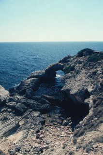 Nature, Italy, region of Puglia 1975 Isole Tremiti (Tremiti islands).