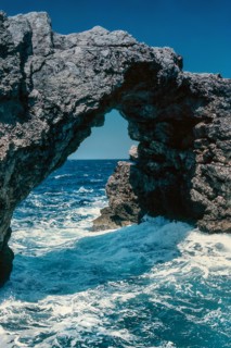 Nature, Italy, region of Puglia 1975 Isole Tremiti (Tremiti islands).