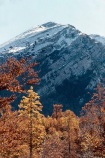 Nature, Italy, region of Calabria 1975 Comprensorio del Pollino - Monte Pollino (Pollino