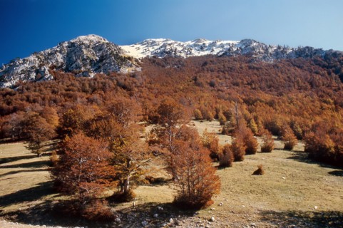 Nature, Italy, region of Calabria 1975 Comprensorio del Pollino - Monte Pollino (Pollino