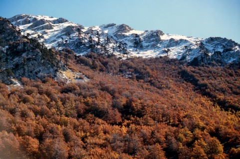 Nature, Italy, region of Calabria 1975 Comprensorio del Pollino - Monte Pollino (Pollino