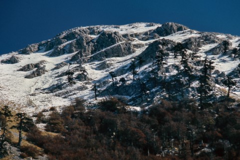 Nature, Italy, region of Calabria 1975 Comprensorio del Pollino - Monte Pollino (Pollino
