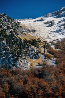 Nature, Italy, region of Calabria 1975 Comprensorio del Pollino - Monte Pollino (Pollino