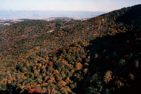 Nature, Italy, region of Calabria 1975 Sila Piccola (Little Sila).