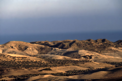 Nature, Italy, region of Calabria Marchesato Crotonese.