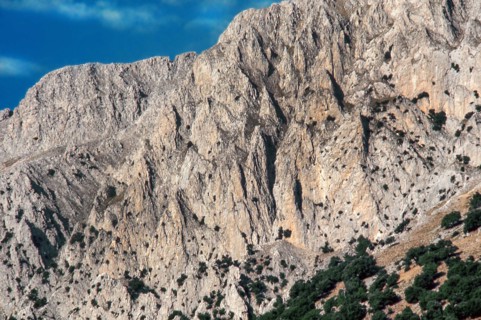 Nature, Italy, region of Sicilia 1975 Le Madonie (Tne Madonie).