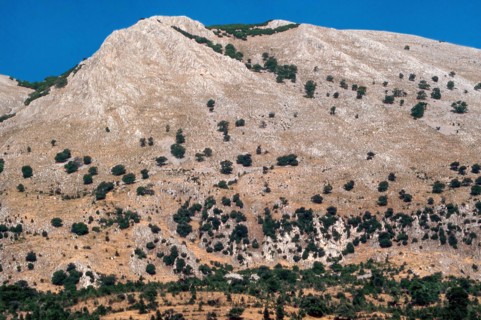 Nature, Italy, region of Sicilia 1975 Le Madonie (Tne Madonie).