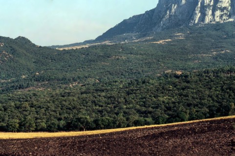 Nature, Italy, region of Sicilia 1975 Rocca Busambra - Bosco della Ficuzza (Busambra Rock - Ficuzza