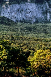 Nature, Italy, region of Sicilia 1975 Rocca Busambra - Bosco della Ficuzza (Busambra Rock - Ficuzza