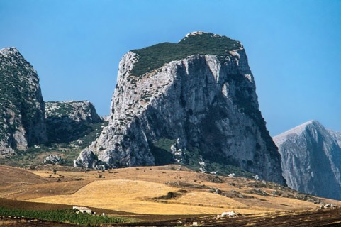 Nature, Italy, region of Sicilia 1975 Rocca Busambra - Bosco della Ficuzza (Busambra Rock - Ficuzza