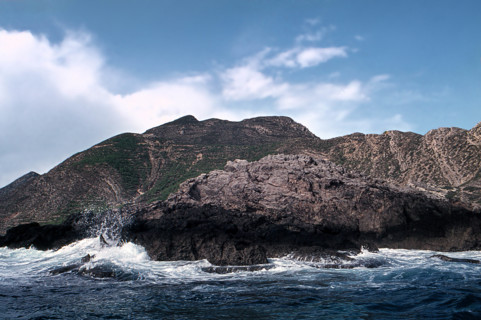 Nature, Italy, region of Sicilia 1975 Isole Egadi, Isola di Marettimo (Egadi Islands,  Marettimo