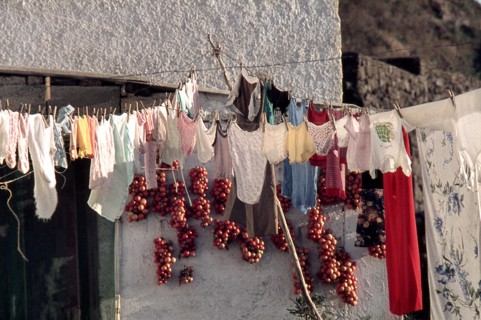 Nature, Italy, region of Sicilia 1975 Isola di Pantelleria (Pantelleria Island).