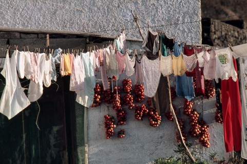 Nature, Italy, region of Sicilia 1975 Isola di Pantelleria (Pantelleria Island).