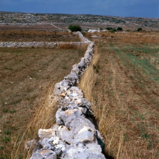 Nature, Italy, region of Sicilia 1975 Muri a secco nel Ragusano (Dry Stone walls in the Ragusano).