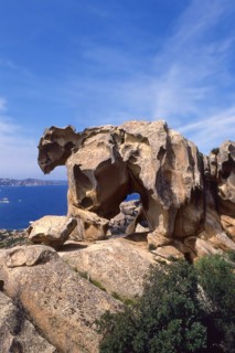 Nature, Italy, region of Sardegna 1975 Gallura - Capo Orso (Bear Cape).