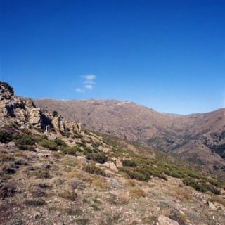 Nature, Italy, region of Sardegna 1975 Massiccio del Gannargentu (Gennargentu Massif).