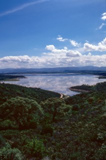 Nature, Italy, region of Sardegna 1975 Lago Omodeo (Omodeo Lake).