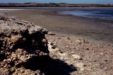 Nature, Italy, region of Sardegna 1975 Lago di Baratz (Baratz Lake).