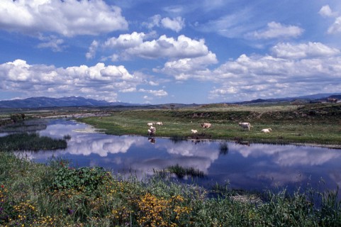 Nature, Italy, region of Sardegna 1975 Territorio del Sassarese (Sassari Territory).
