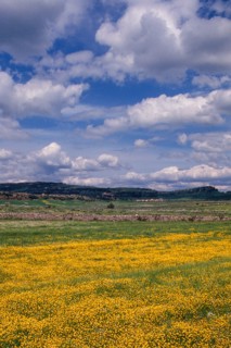 Nature, Italy, region of Sardegna 1975 Territorio del Sassarese (Sassari Territory).