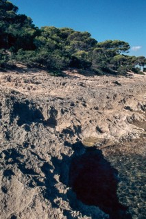 Nature, Italy, region of Sardegna 1975 Capo Teulada - Porto Pino (Teulada Cape - Porto Pino).