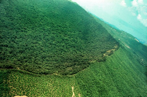 Nature, Italy, region of Campania, 1975 Astroni Crater natural reserve.