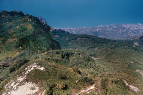 Nature, Italy, region of Campania, 1975 Ischia Monte Epomeo.