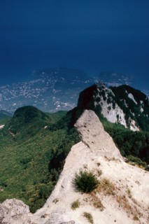 Nature, Italy, region of Campania, 1975 Ischia Monte Epomeo.