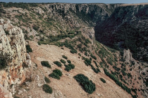 Nature, Italy, region of Puglia 1975 Gravina di Laterza.