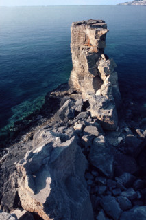 Nature, Italy, region of Puglia 1975 Costa del Salento (Salento coast).
